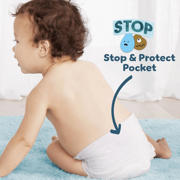 thumbnail: Pampers Premium Protection Maat 2 maandbox - 240 luiers - 4kg - 8kg