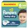 Pampers Baby-Dry Maat 6 maandbox - 148 luiers - 13kg-18kg