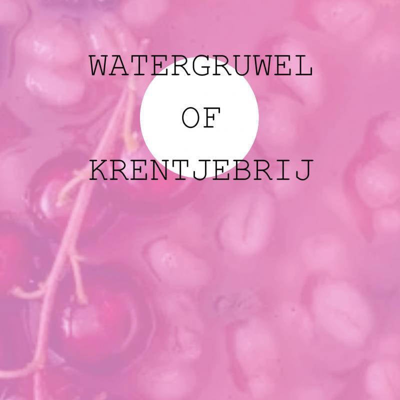 Jan Timmer Watergruwel of Krentjebrij | wehkamp