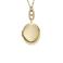 Fossil collier JF04426710 Jewelry goudkleurig