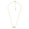 Michael Kors collier MKC164200710 Premium goudkleurig