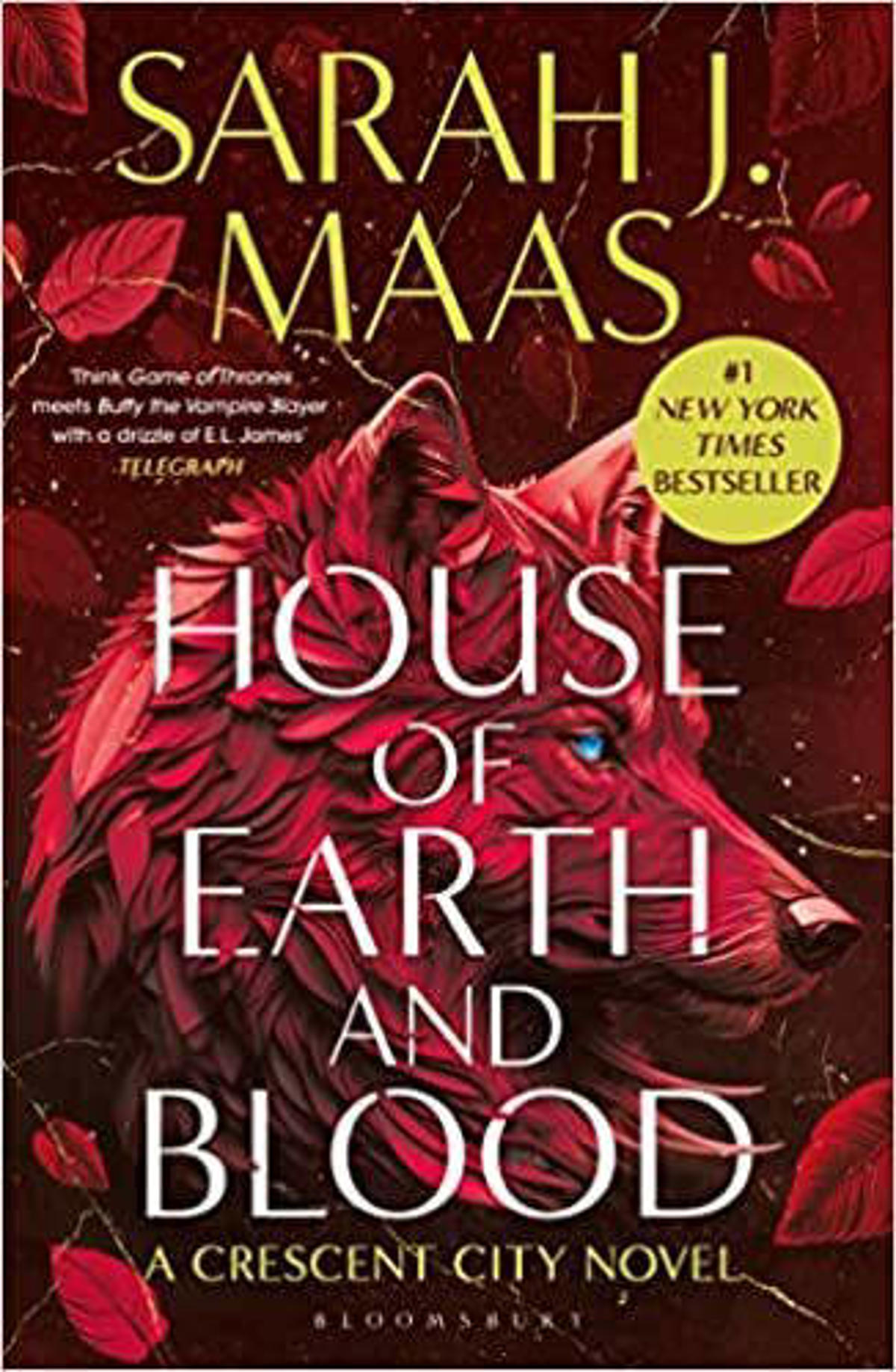 Maas, Sarah J. House of Earth and Blood wehkamp