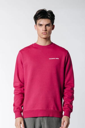sweater van biologisch katoen burgundy