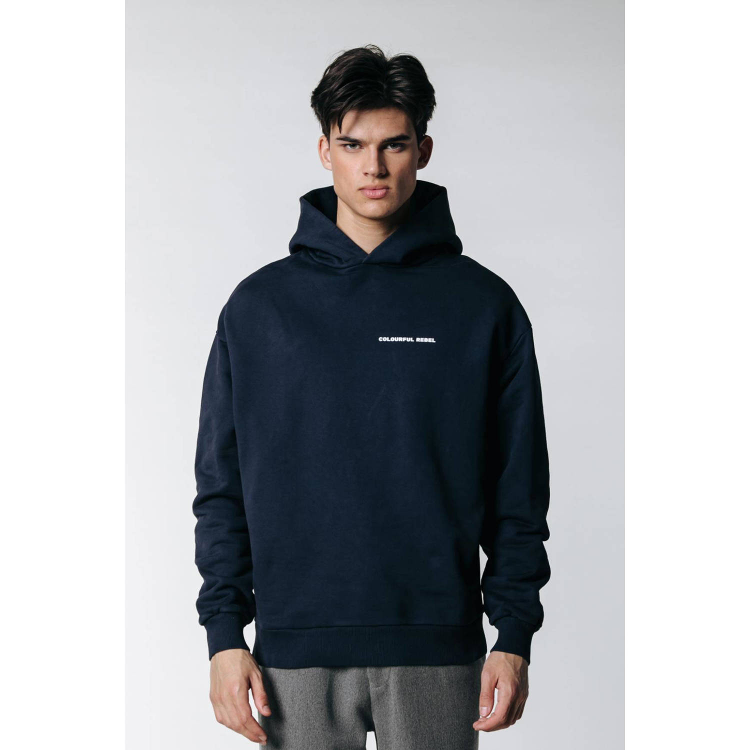 Colourful Rebel hoodie van biologisch katoen navy met backprint