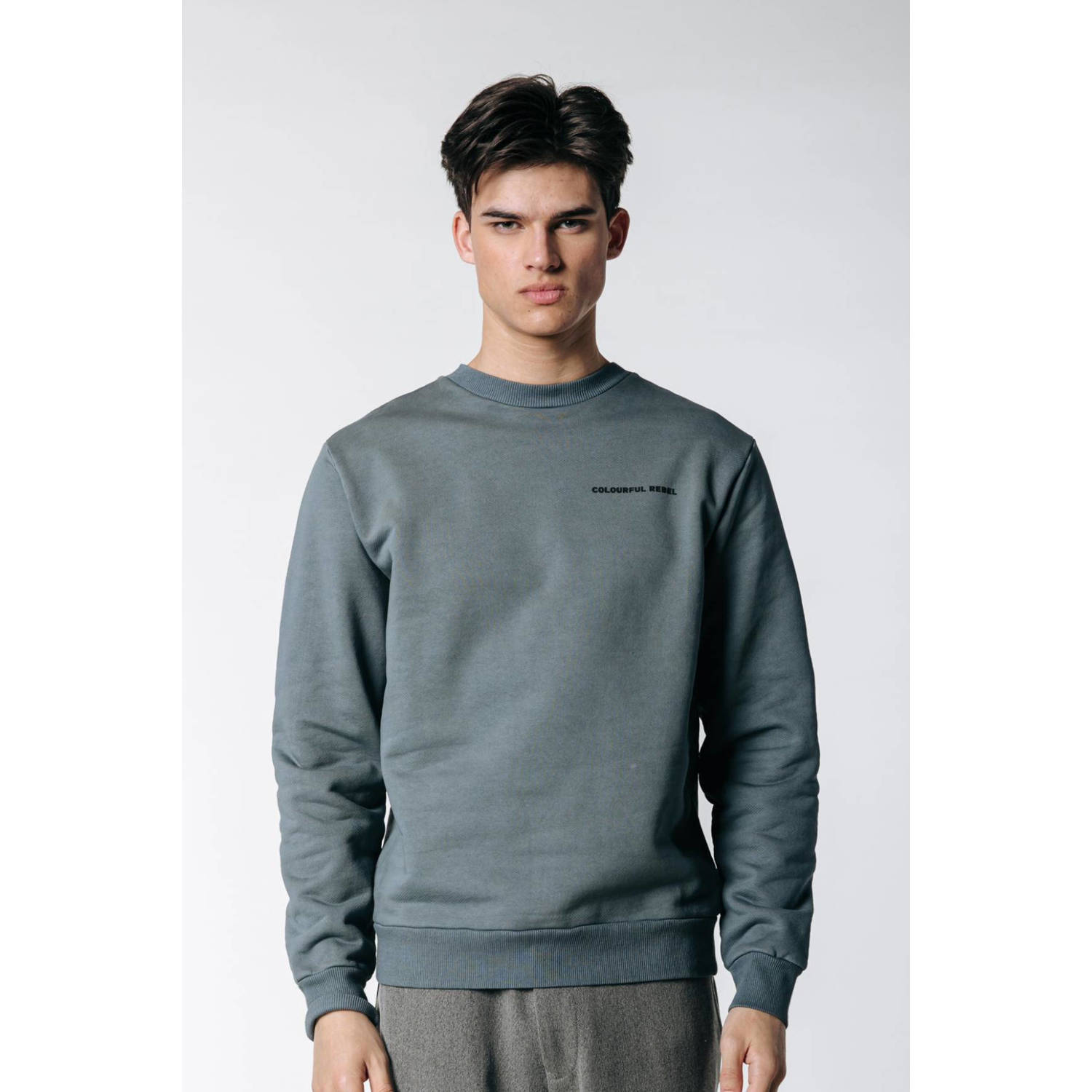 Colourful Rebel sweater Art Basic van biologisch katoen dark grey