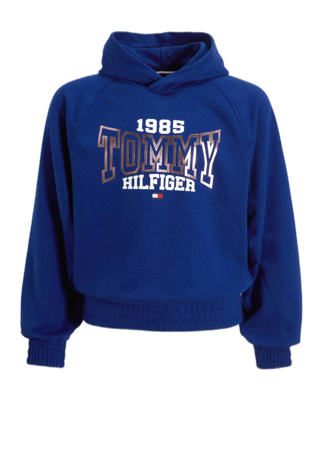 HOT Logo Hoodie Tommy Hilfiger Hoodie Lang Tommy Hilfiger