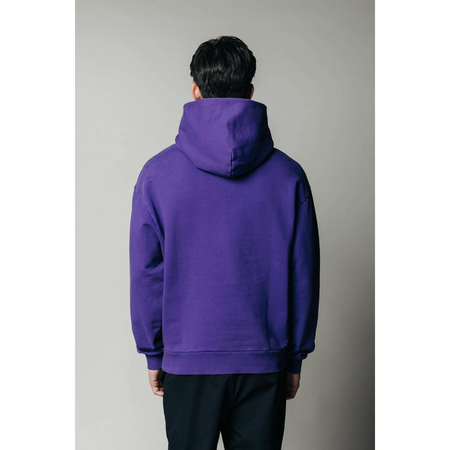 Colourful Rebel hoodie van biologisch katoen dark purple
