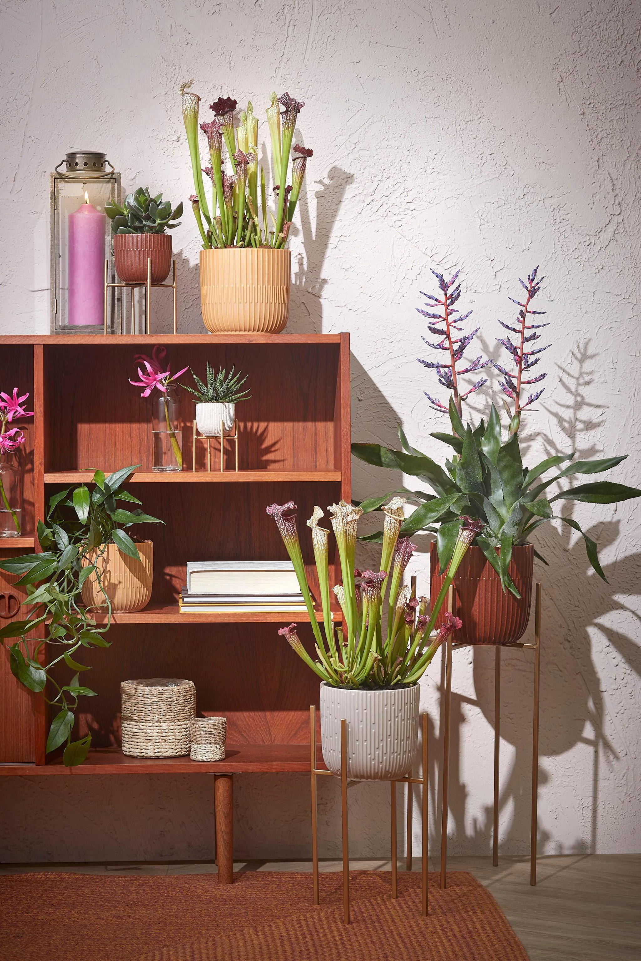 Mica Decorations plantenstandaard Scott - Afbeelding 2