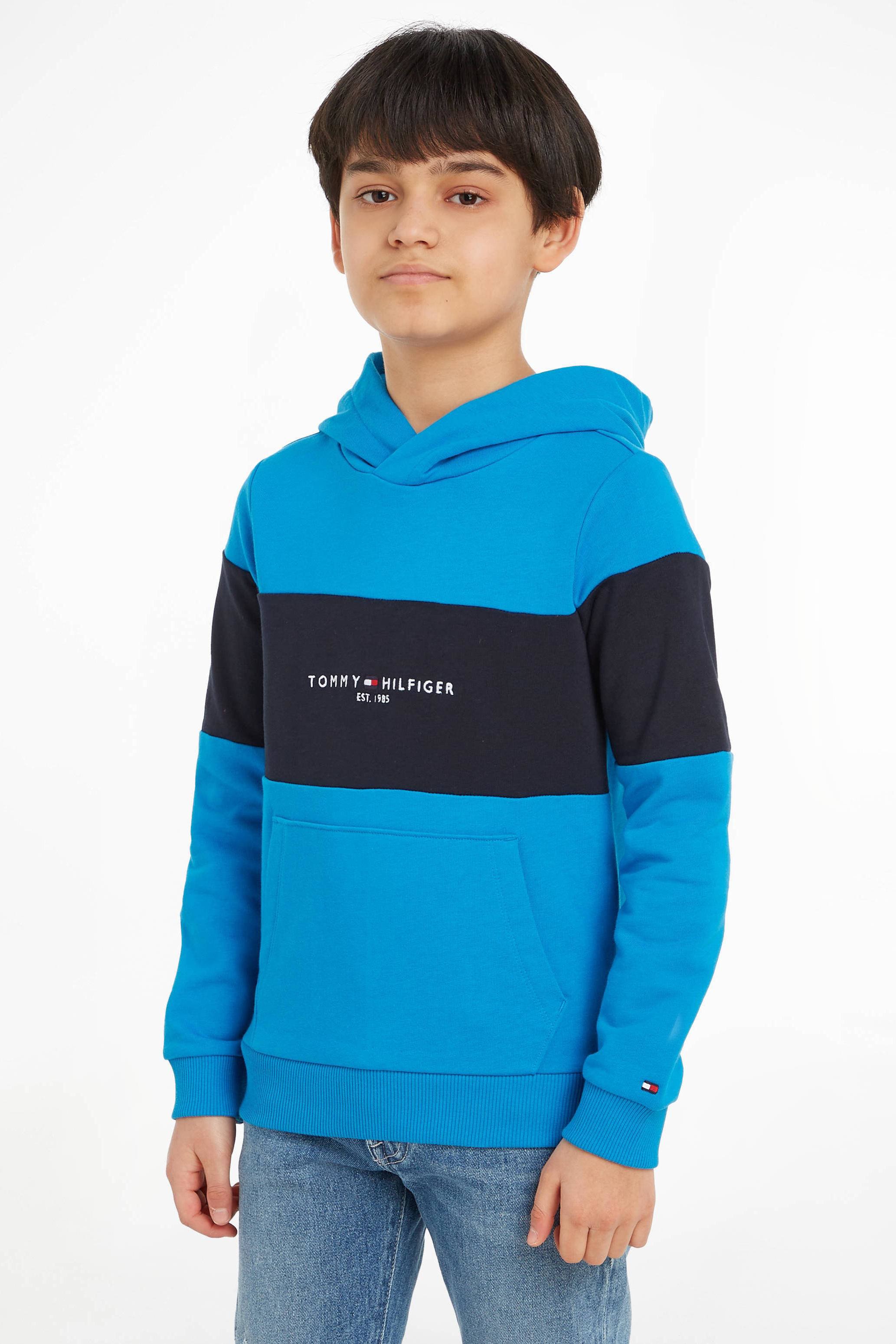 Essential hilfiger cheap hoodie