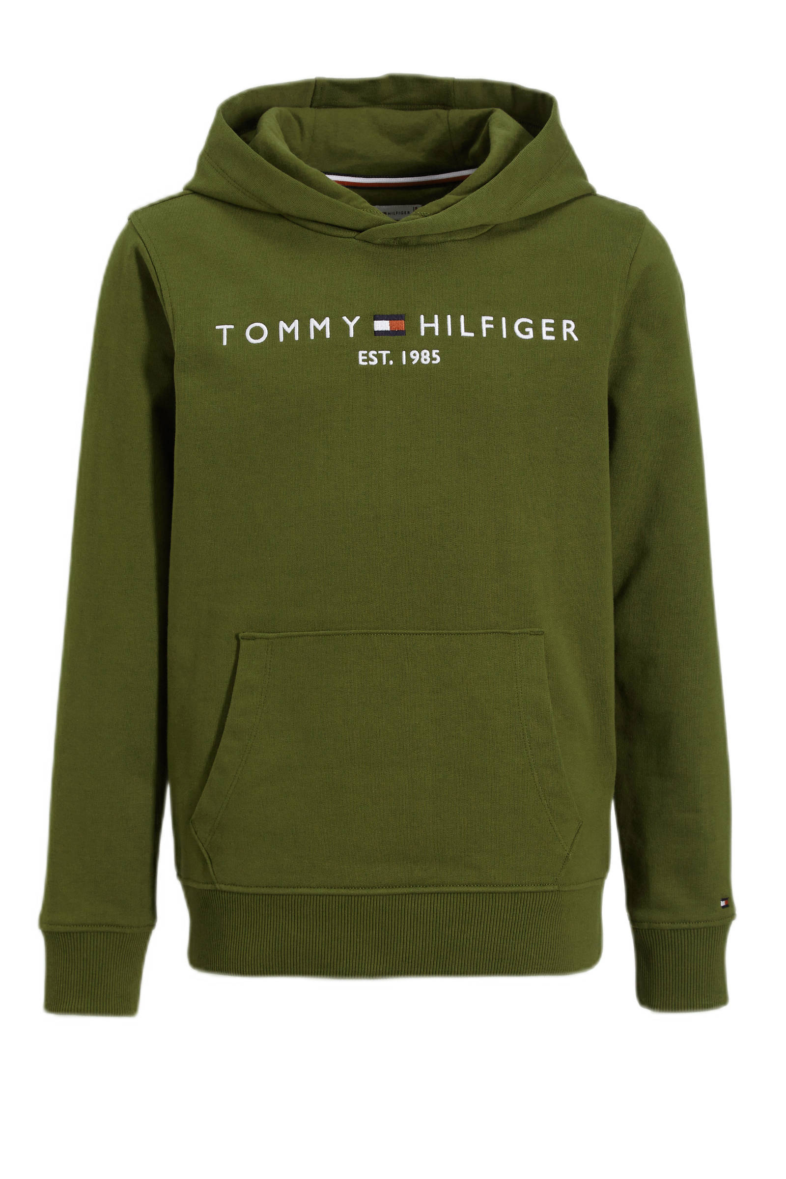 Essential hilfiger sales hoodie