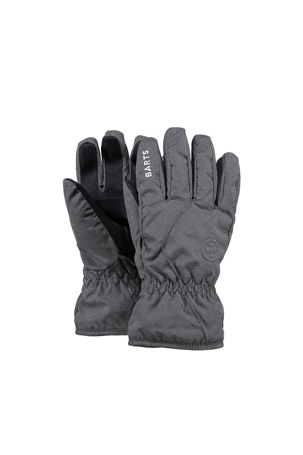 Barts Basic Skigloves Kids ski-handschoenen grijs
