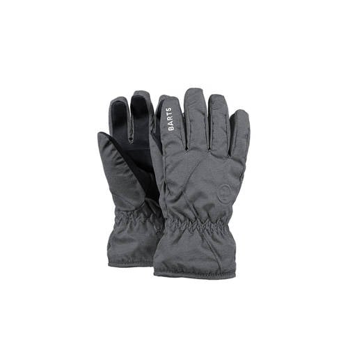 Barts Basic Skigloves Kids ski-handschoenen grijs afbeelding