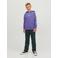 JACK & JONES JUNIOR hoodie JORVESTERBRO met tekst paars