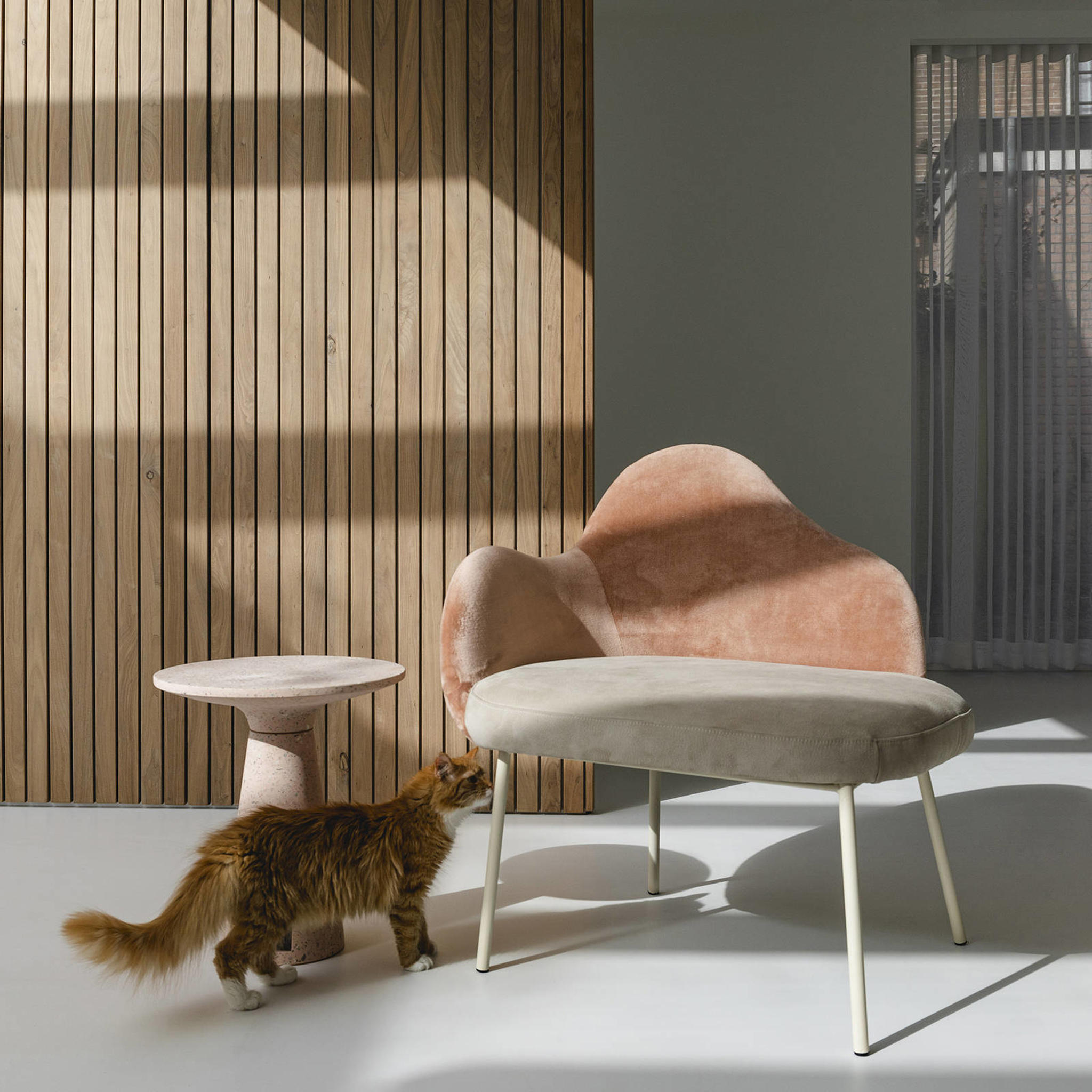 Zuiver fauteuil Friuli - Afbeelding 7