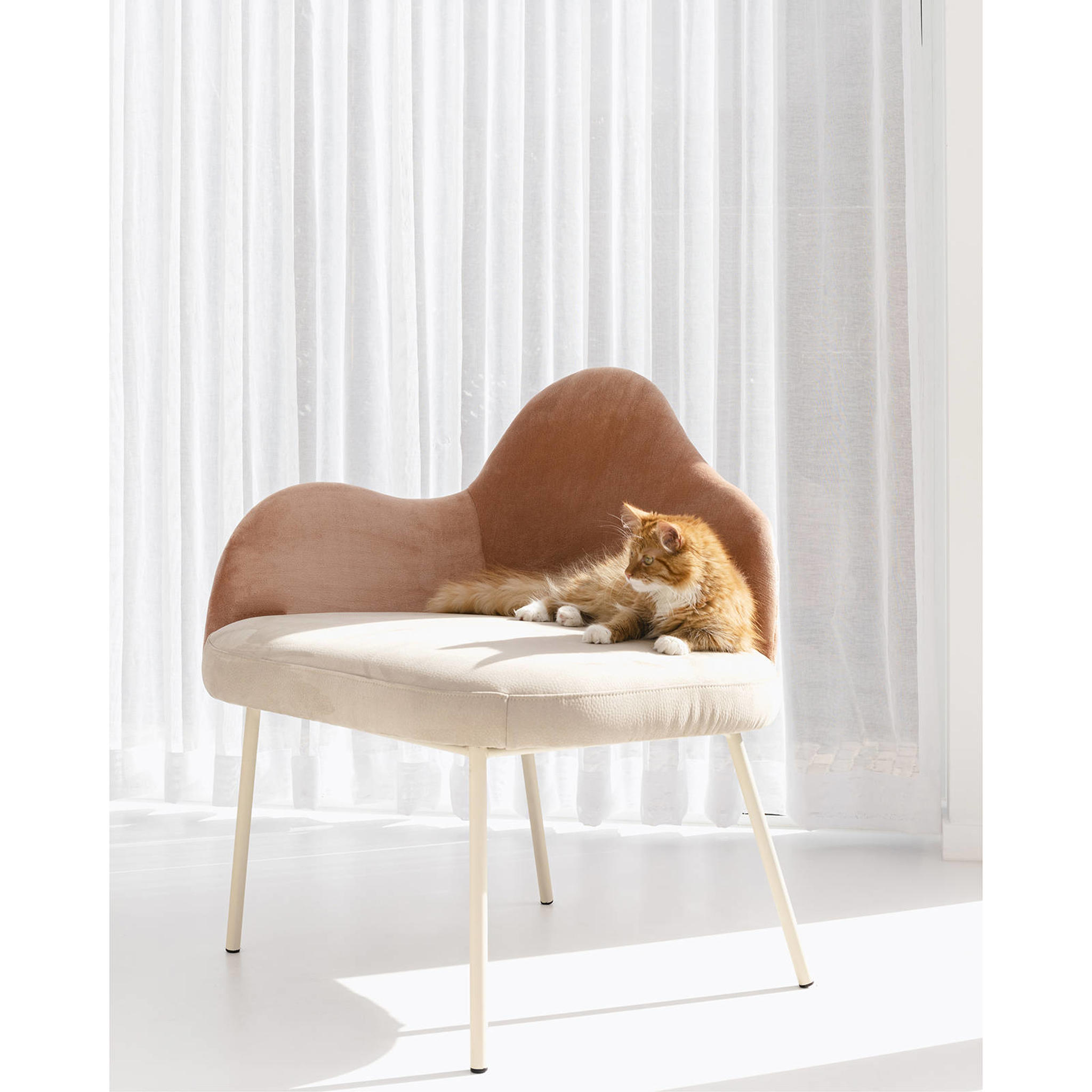 Zuiver fauteuil Friuli - Afbeelding 10