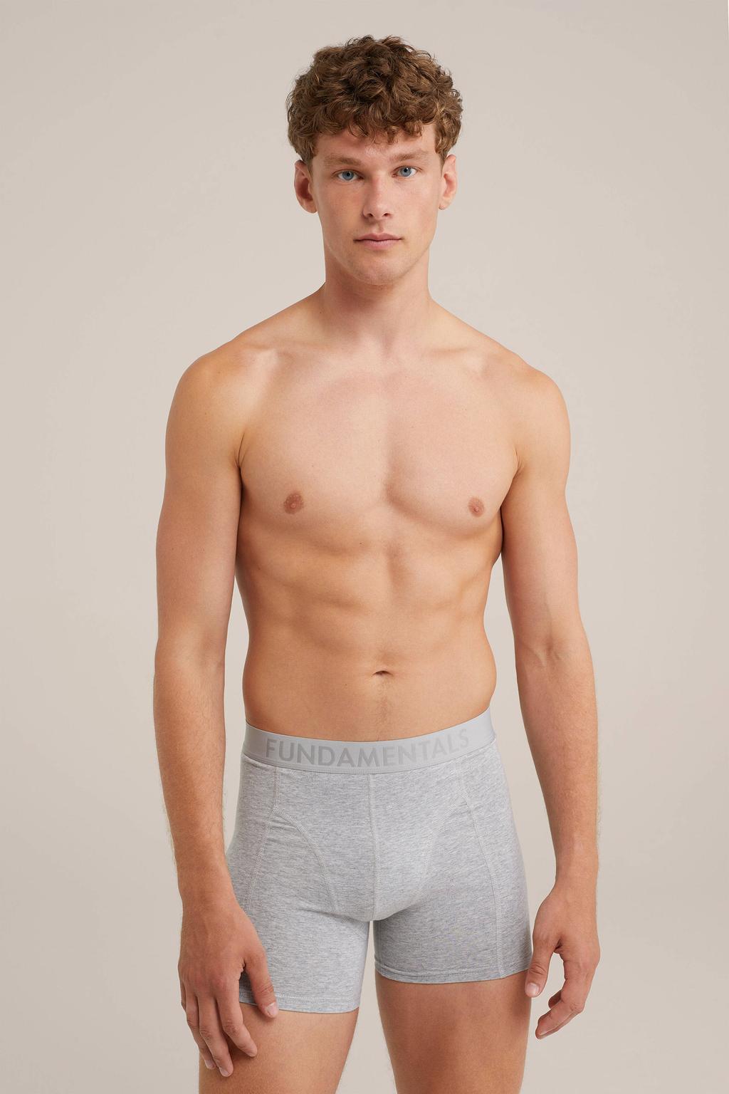 WE Fundamentals boxershort grijs
