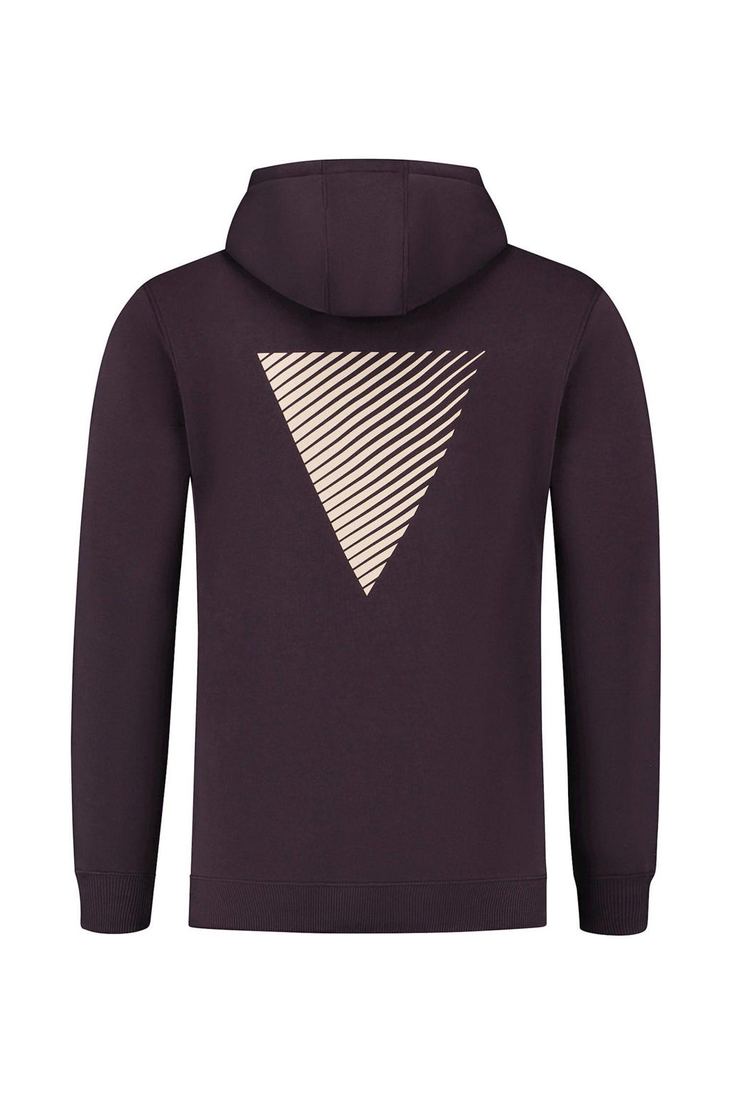 Protection Path Hoodie