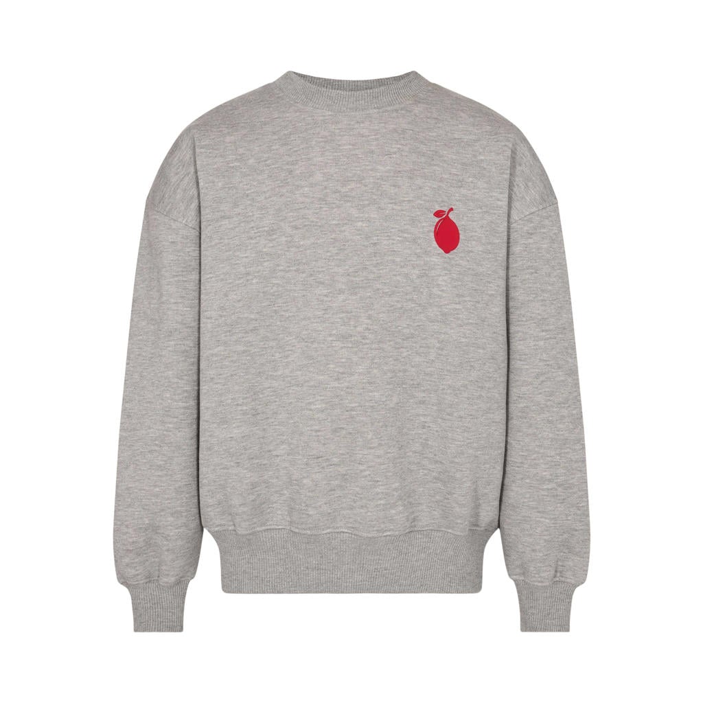 Grijze meisjes Sofie Schnoor sweater met backprint, lange mouwen en ronde hals