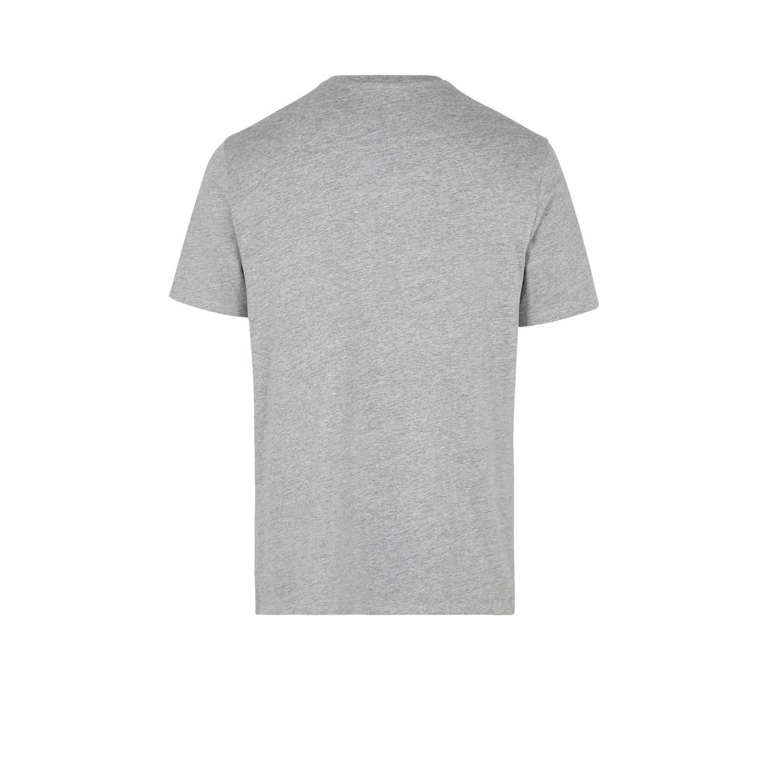 O'Neill T-shirt met logo grijs
