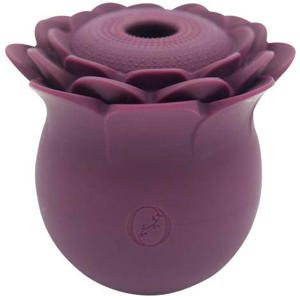 Sunflower vibrator and suction tool