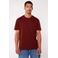 America Today regular fit T-shirt bruin