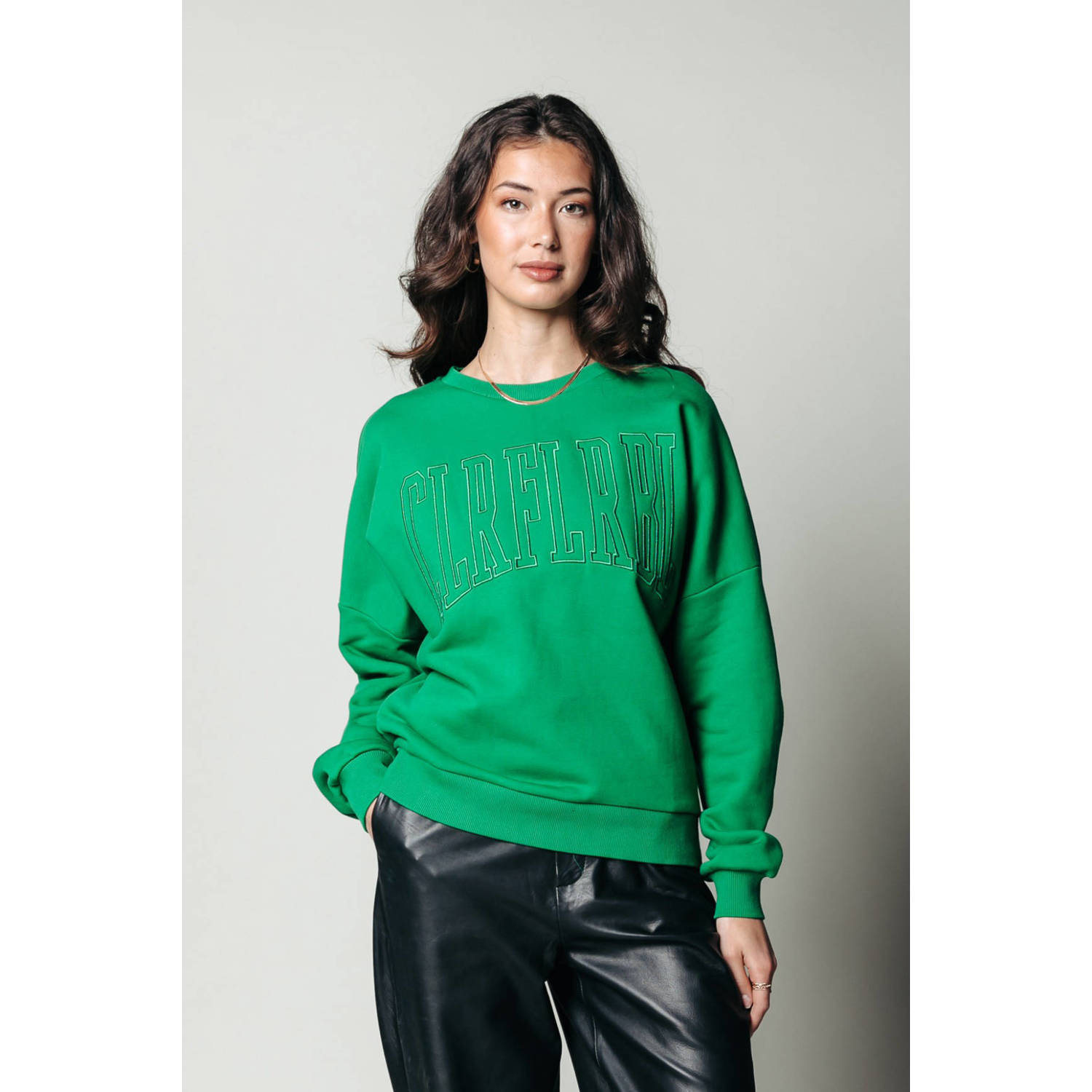 Colourful Rebel sweater Rebel met biologisch katoen groen
