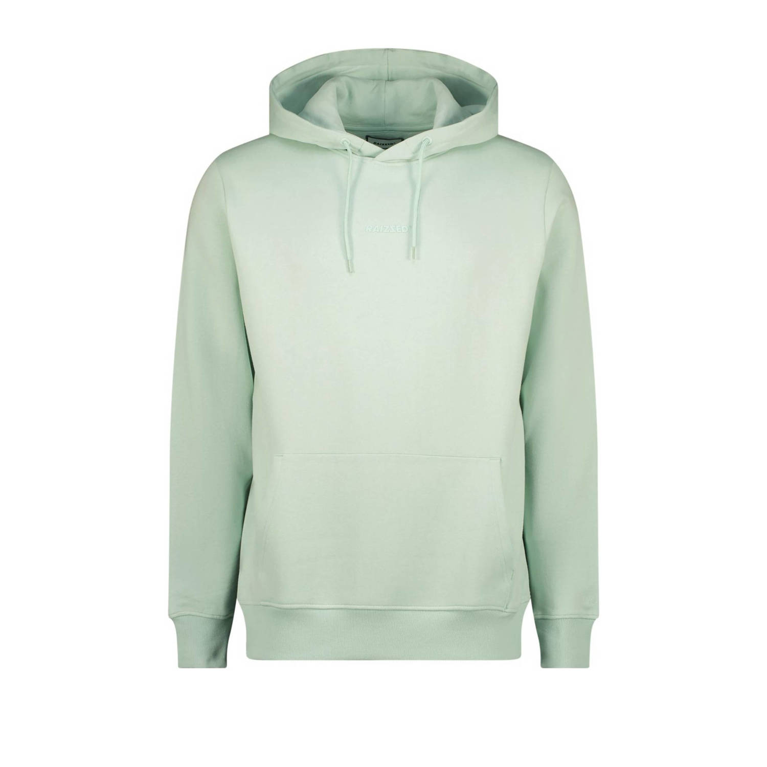 Raizzed hoodie Newton met logo pistachio green