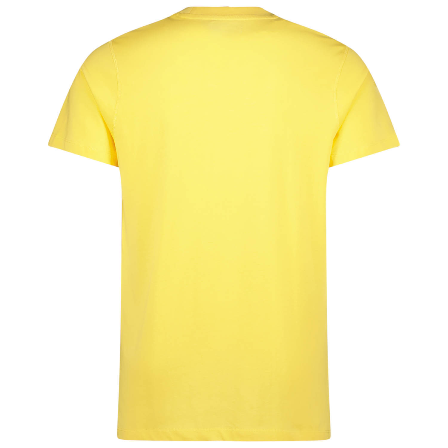 Raizzed T-shirt Hartwick met logo banani