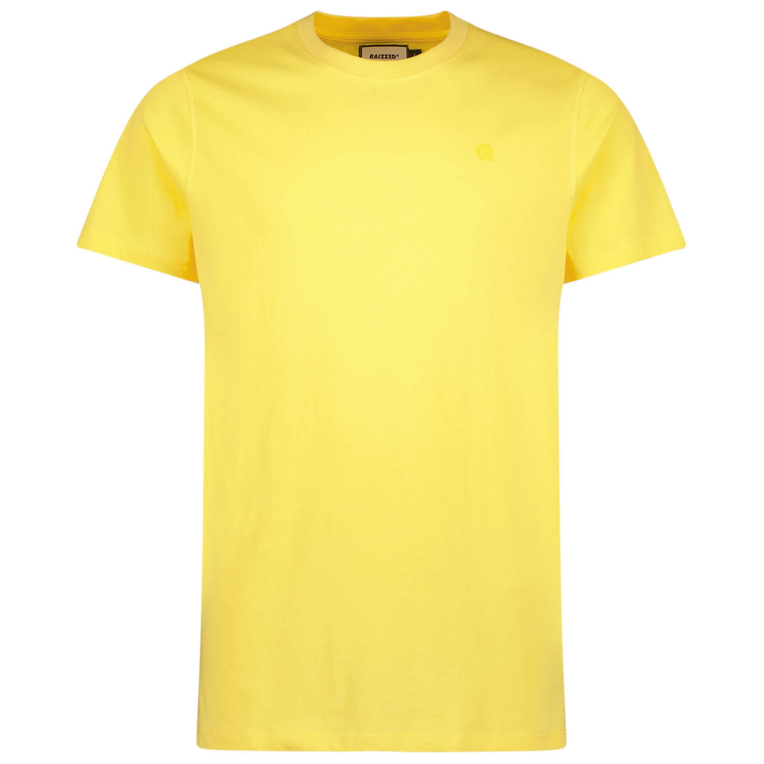 Raizzed T-shirt Hartwick met logo banani