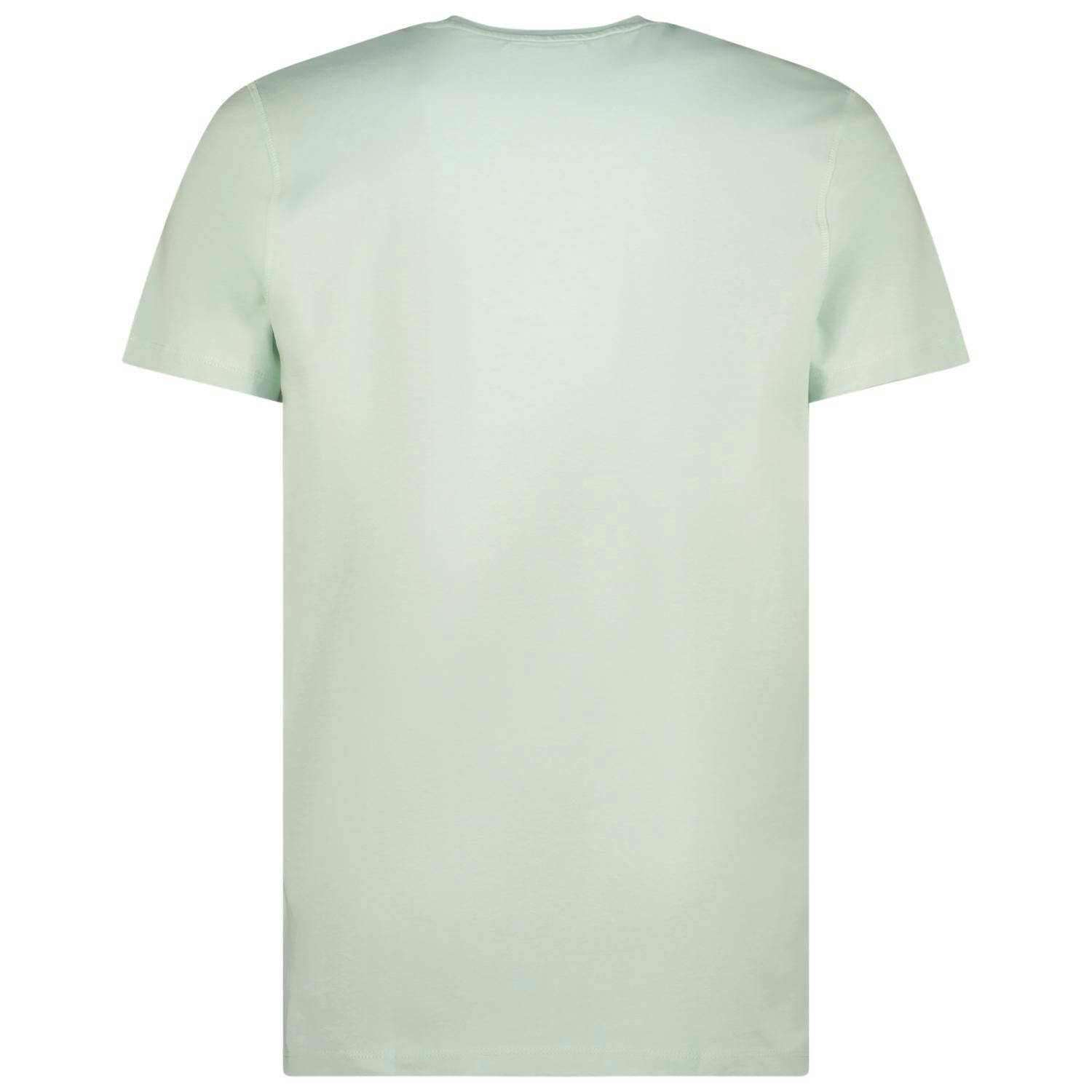 Raizzed T-shirt Hartwick met logo pistachio green