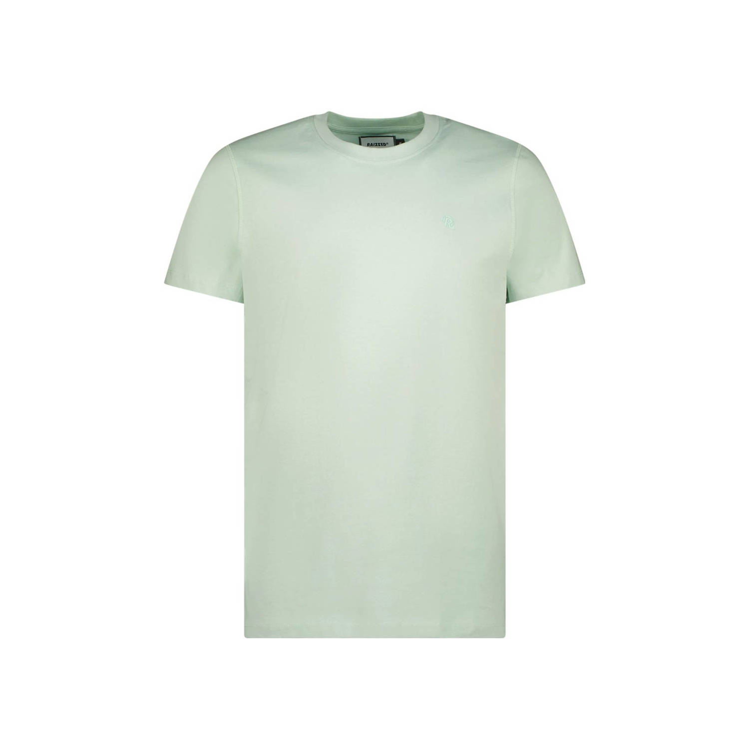 Raizzed T-shirt Hartwick met logo pistachio green