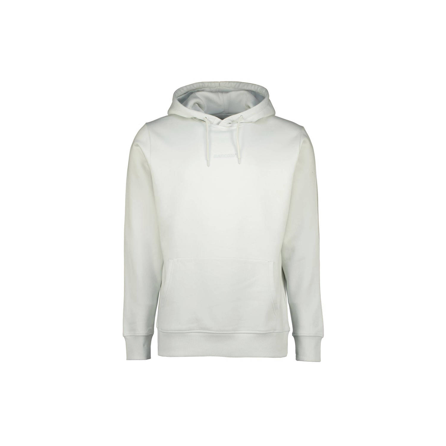 Raizzed hoodie Newton met logo whisper grey