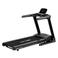 Flow Fitness  loopband Perform T2i