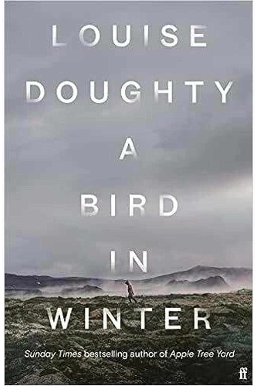 A Bird in Winter - Doughty, Louise