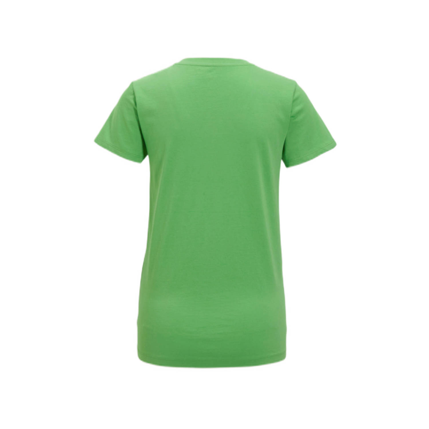 anytime T-shirt met V-hals groen