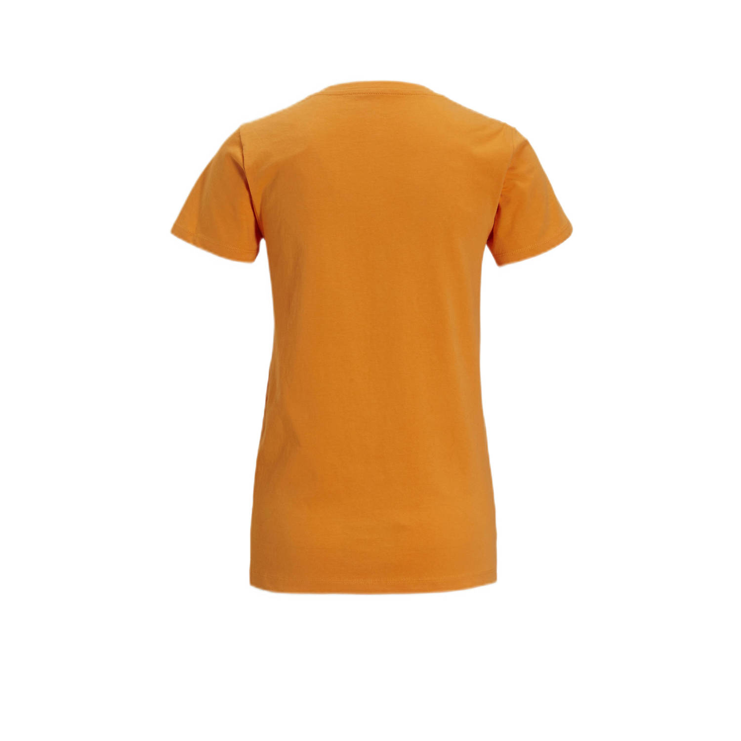 anytime T-shirt met V-hals oranje