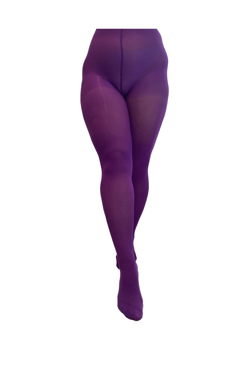 Pamela Mann Plus Size panty 50 denier paars