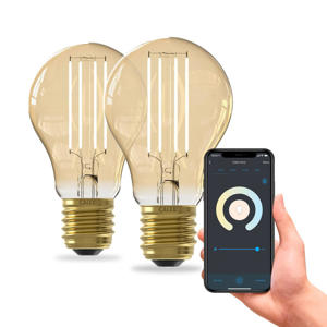 slimme LED lamp (set van 2)