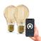 Calex slimme LED lamp (set van 2)