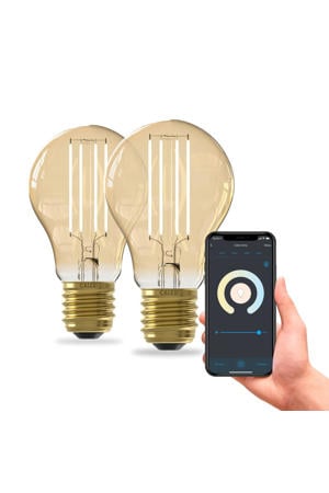 slimme LED lamp (set van 2)