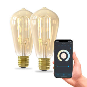 slimme LED lamp (set van 2)