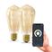 Calex slimme LED lamp (set van 2)