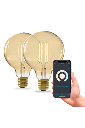 slimme LED lamp (set van 2)