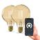 Calex slimme LED lamp (set van 2)