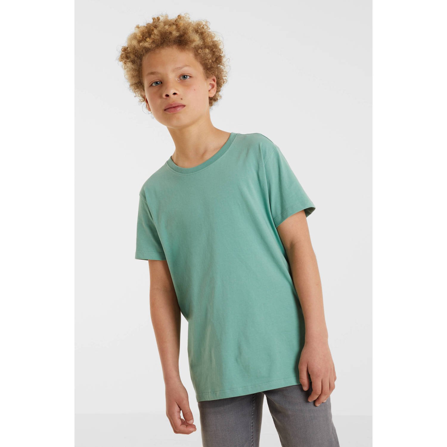 Anytime T-shirt lichtgroen Jongens Katoen Ronde hals Effen 110 116