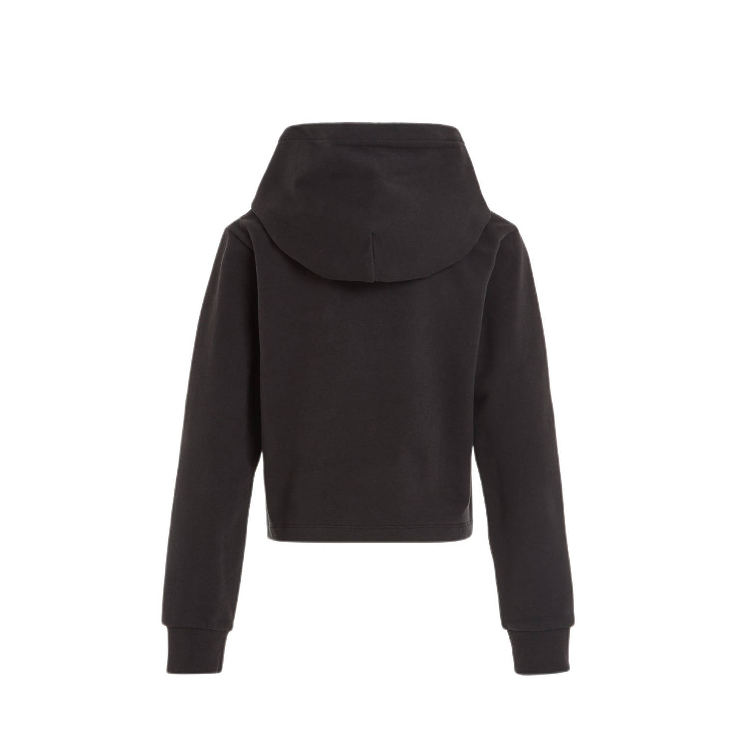 Calvin Klein hoodie met logo zwart