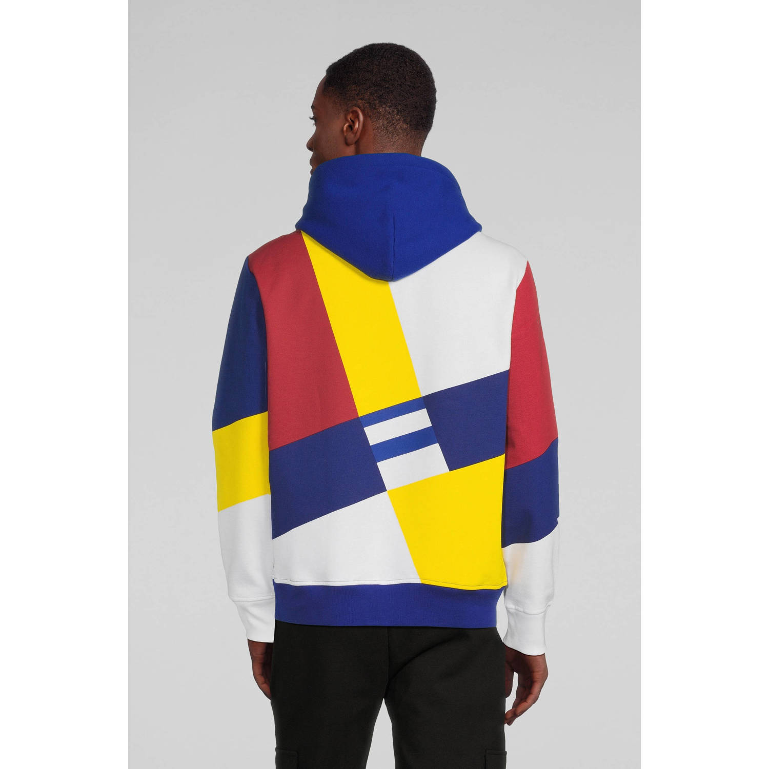 POLO Ralph Lauren hoodie met logo white multi