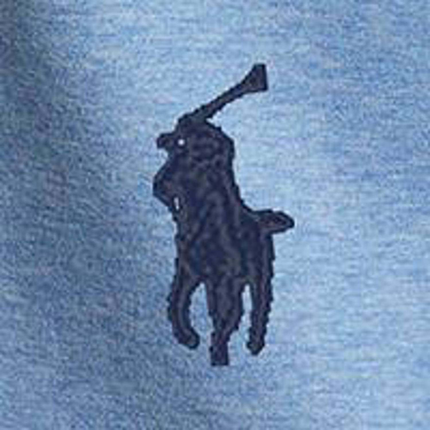 POLO Ralph Lauren sweater met logo isle heather