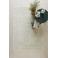 NOUS Living vloerkleed Taylor (290x200 cm)