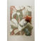 NOUS Living vloerkleed Tate (230x160 cm)
